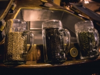 Visite unique de la bière à Prague